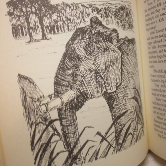Vintage Illustrated Rudyard Kipling The Jungle Books - Picture 10 of 10